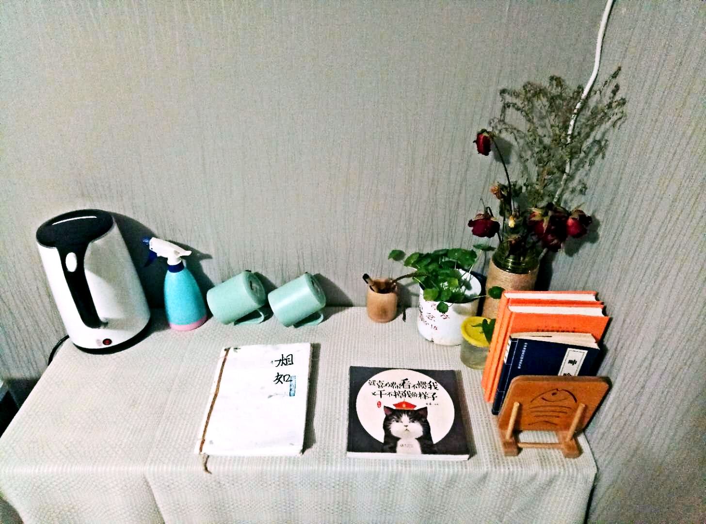 独立简约一居室