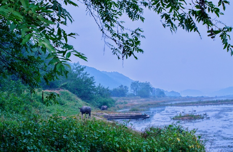 氤氲在岁月深处的歙县烟村‖皖浙1号风景道歙县自驾游
