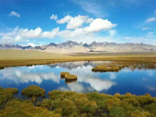 去新疆旅游多少錢_跟團新疆游價格_旅行團新疆游