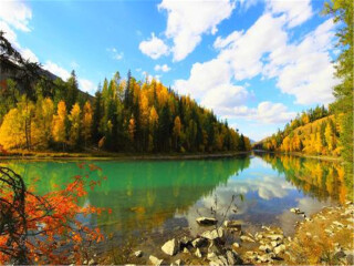 去新疆旅游多少錢_跟團新疆游價格_旅行團新疆游