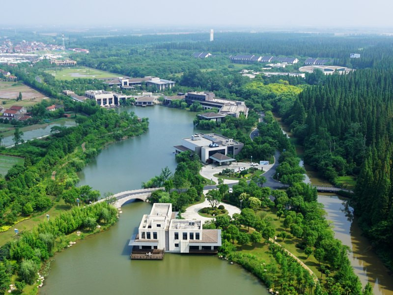 怡沁园度假村丨崇明岛上诗画一样的森林酒店,空气真的