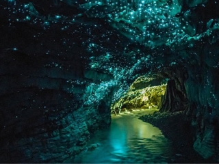 報團去新西蘭多少錢_新西蘭最適合旅游的季節(jié)_特價新西蘭游