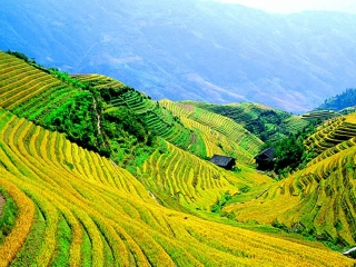 桂林十日游多少钱_跟团桂林旅游价格_期间桂林旅游跟团