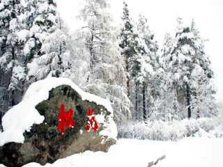 怎么去亞布力雪鄉(xiāng)旅游_亞布力雪鄉(xiāng)自由行旅游團(tuán)_旅行團(tuán)亞布力雪鄉(xiāng)游