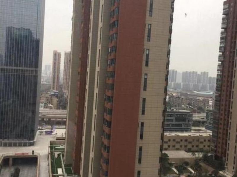 武汉苏安家设计师影院公寓
