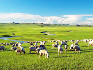 呼倫貝爾旅游報價_呼倫貝爾自由行費用_呼倫貝爾旅游組團(tuán)