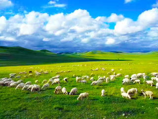呼倫貝爾旅游報價_呼倫貝爾自由行費用_呼倫貝爾旅游組團(tuán)