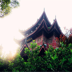 活动模块 
