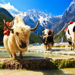 景点模块 