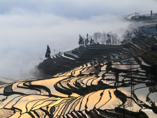 昆明跟团旅游社_昆明游旅行团_公司去昆明游