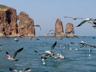 幾月份去青島最便宜_青島旅游幾月份最好_青島旅游報價