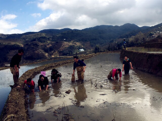 昆明跟团旅游社_昆明游旅行团_公司去昆明游