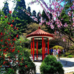 景点模块 