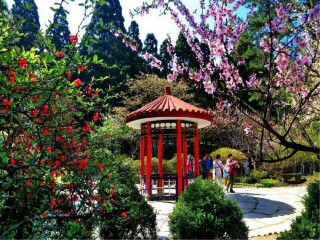 旅游去廬山_廬山八月份旅游_到廬山旅游
