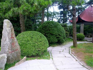 旅游去廬山_廬山八月份旅游_到廬山旅游