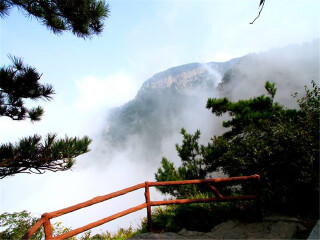 旅游去廬山_廬山八月份旅游_到廬山旅游