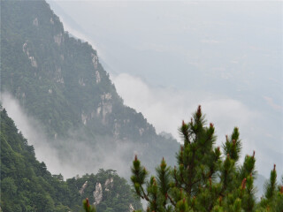 旅游去廬山_廬山八月份旅游_到廬山旅游