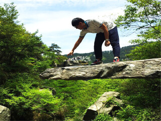 旅游去廬山_廬山八月份旅游_到廬山旅游
