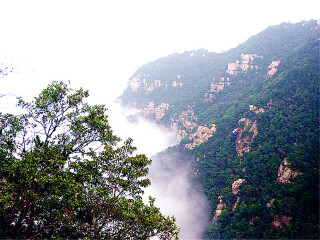 旅游去廬山_廬山八月份旅游_到廬山旅游