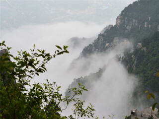 旅游去廬山_廬山八月份旅游_到廬山旅游