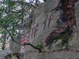 旅游去廬山_廬山八月份旅游_到廬山旅游