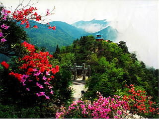 旅游去廬山_廬山八月份旅游_到廬山旅游