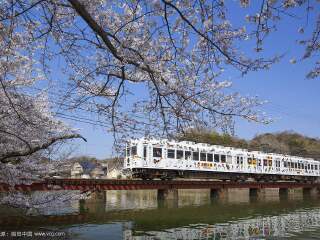 日本旅游跟团需多少钱_日本旅游十一日游_我去日本旅游