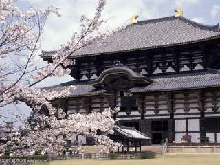 日本大阪旅行團(tuán)旅游報(bào)價(jià)_日本大阪旅游大概多少錢(qián)_日本大阪旅游組團(tuán)