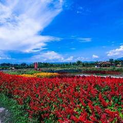 景点模块 