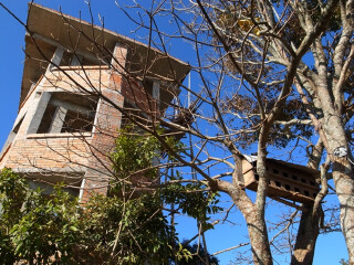 尼泊爾報(bào)團(tuán)旅游多少錢_尼泊爾旅游需要多少錢_10月1日尼泊爾旅游報(bào)價(jià)