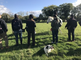 深圳特價英國游_英國旅游報價_去英國游怎么省錢