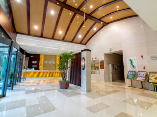 到云南麗江旅游多少錢_去云南麗江旅游怎么走_(dá)云南麗江旅游最佳路線