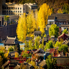 景点模块 