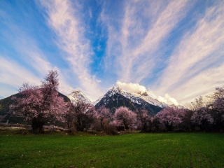 深圳到西藏旅游報(bào)價(jià)_西藏旅游一次多少錢_西藏旅游價(jià)格多少