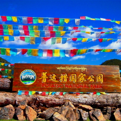 普达措国家森林公园 景点模块