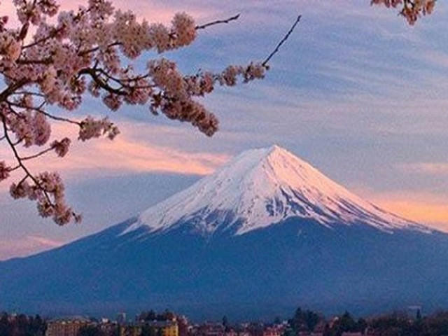 日本本州北海道6晚7日游 上海直飞 保证2晚日式温泉 樱花 富士山 品质