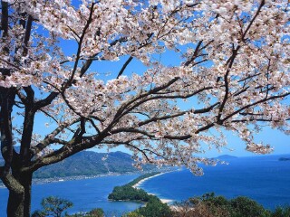 日本旅游跟团需多少钱_日本旅游十一日游_我去日本旅游