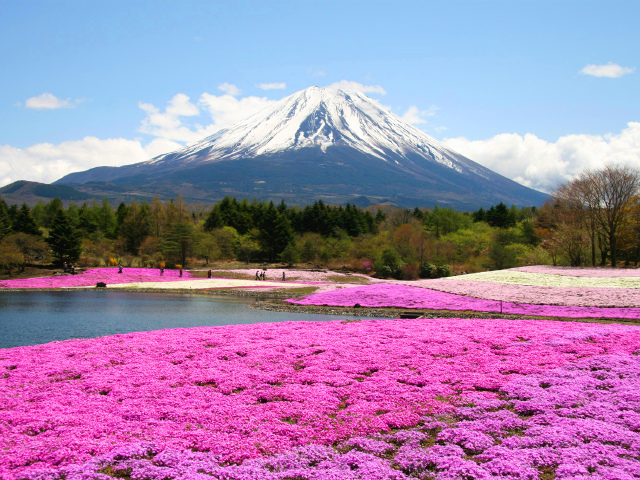 日本旅游景点排名_日本旅游景点图片(2)