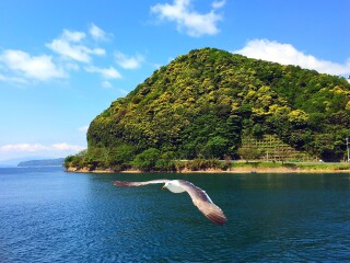旅游去日本大阪_日本大阪旅游團(tuán)_日本大阪旅游費用