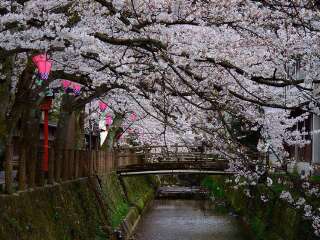 日本旅游跟团需多少钱_日本旅游十一日游_我去日本旅游