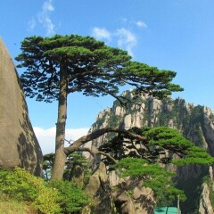 景点模块 