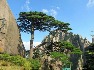 去黃山旅游多少錢_黃山旅游一次多少錢_黃山旅游多少錢