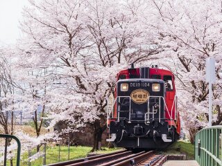 日本旅游跟团需多少钱_日本旅游十一日游_我去日本旅游