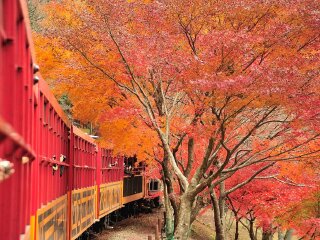 日本旅游跟团需多少钱_日本旅游十一日游_我去日本旅游