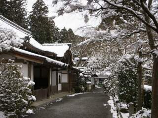 日本旅游跟团需多少钱_日本旅游十一日游_我去日本旅游