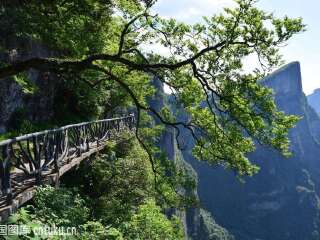 去張家界旅游怎么走_(dá)張家界八月份旅游_2021去張家界跟團(tuán)多少錢(qián)