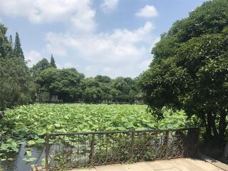旅游去華東杭州_華東杭州2人旅游需要多少錢_2021去華東杭州旅游團報價