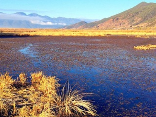 去云南大理麗江靠譜的旅行團(tuán)_2021去云南大理麗江跟團(tuán)多少錢_怎么去云南大理麗江旅游