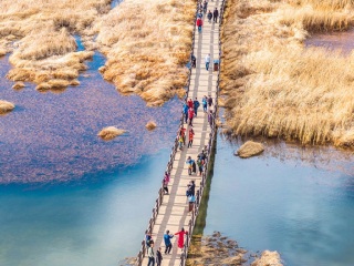 去云南大理麗江靠譜的旅行團(tuán)_2021去云南大理麗江跟團(tuán)多少錢_怎么去云南大理麗江旅游