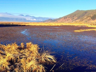 去云南大理麗江靠譜的旅行團(tuán)_2021去云南大理麗江跟團(tuán)多少錢_怎么去云南大理麗江旅游